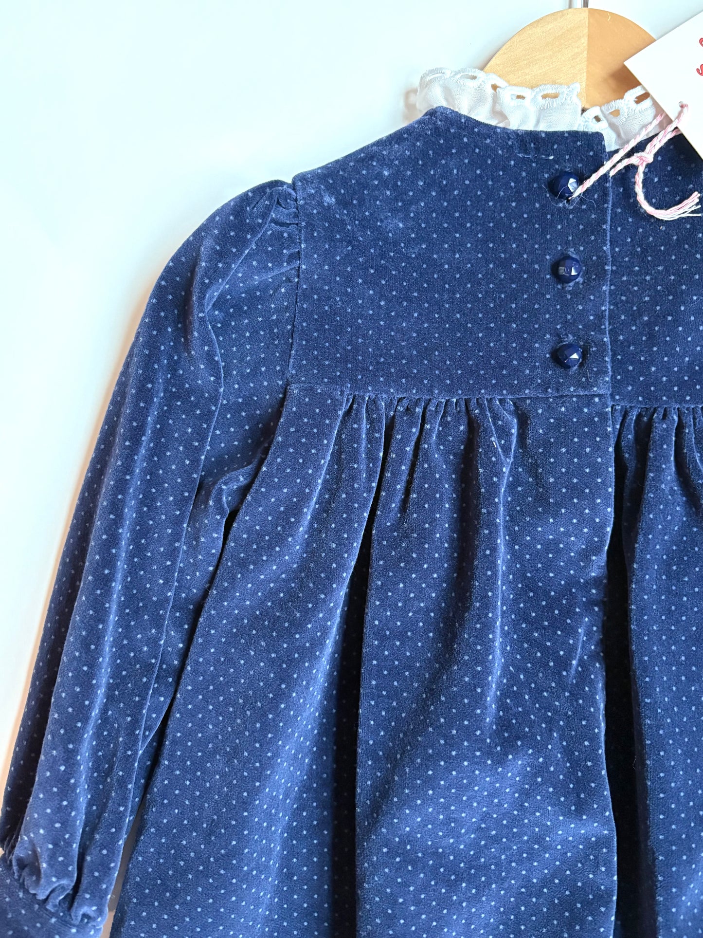 Vintage Velour Ruffle Collared Dress Size 3T